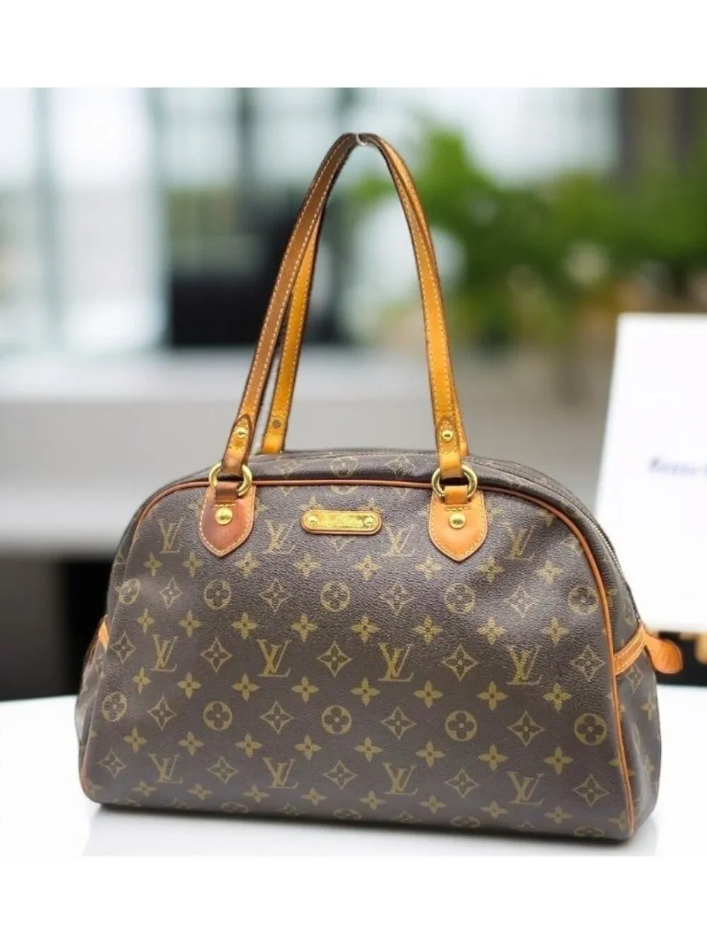 Louis Vuitton Monogram Montorgueil PM Shoulder Bag with LV Shopping Bag